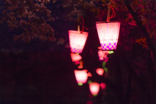 大阪城公園のお花見2018！桜の見頃は？夜桜のライトアップ情報