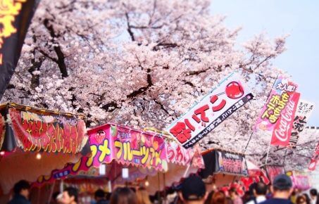 函館公園の桜2018！屋台の時間や場所は？